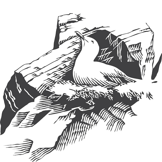 hand drawn illustration of a bird