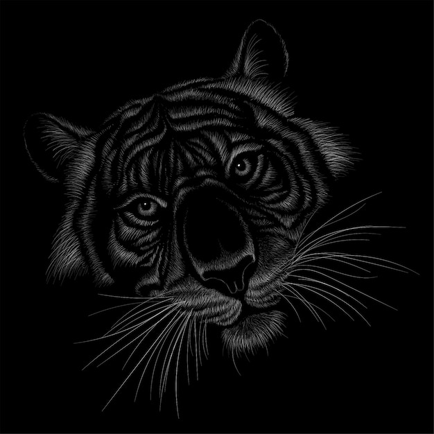 Hand drawn illustration in chalk style of tiger