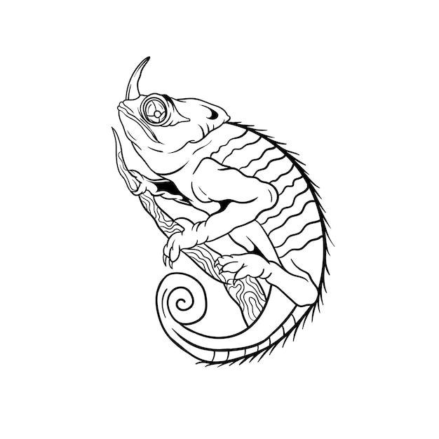 Vettore illustrazione disegnata a mano di un contorno di camaleonte