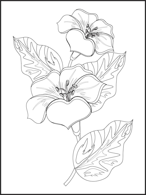 Vector hand drawn illustration, flower coloring page. best outline flower coloring. hand drawn flower.