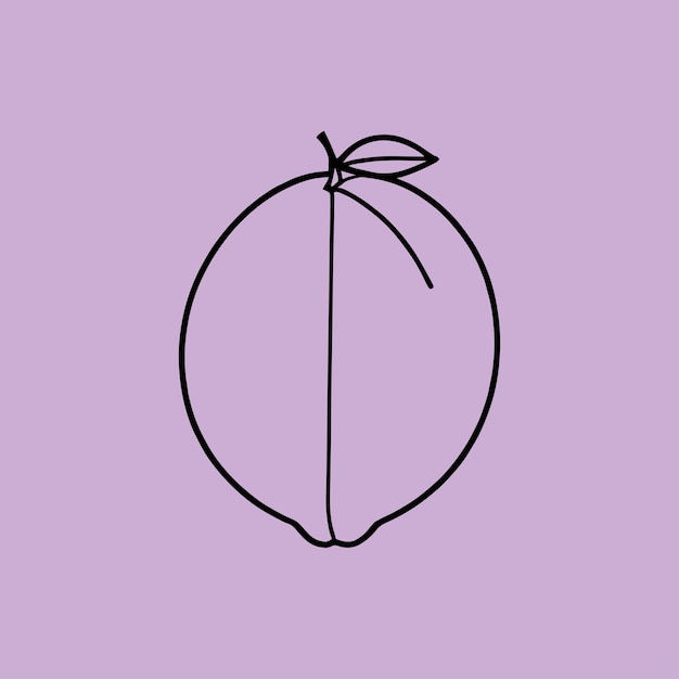 Vector hand drawn illustration of a geometric fruit