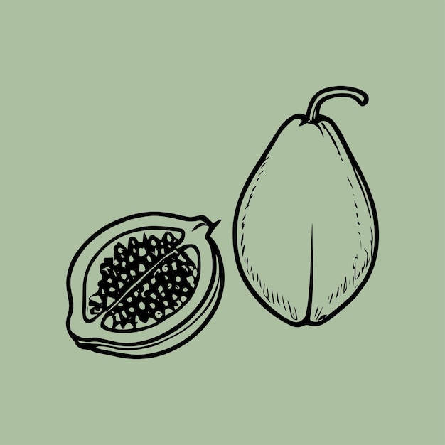 Vector hand drawn illustration of a geometric fruit