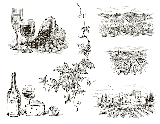 Vettore illustrazione disegnata a mano di paesaggi di vigneti di uva, bottiglia di vino, bicchieri di vino, formaggio.