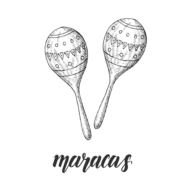 Vector hand drawn illustration of maracas in sketch style.