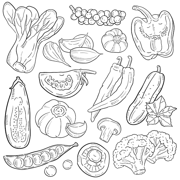 Рисованной иллюстрации овощей.