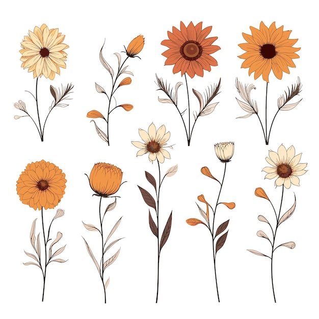 Hand drawn illustration set of sunflower