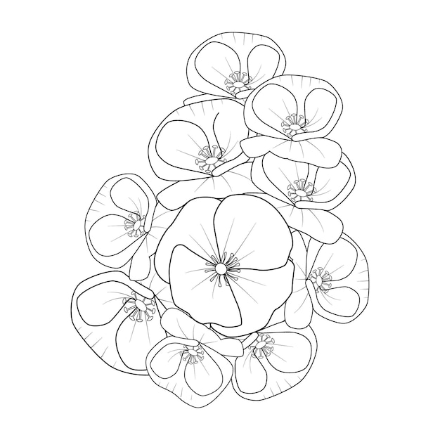 Ручной рисунок контурного букета из коллекции цветов мака