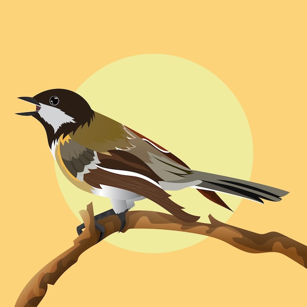 Вектор Рисованной иллюстрации видов птиц экзотического окраса в мире
