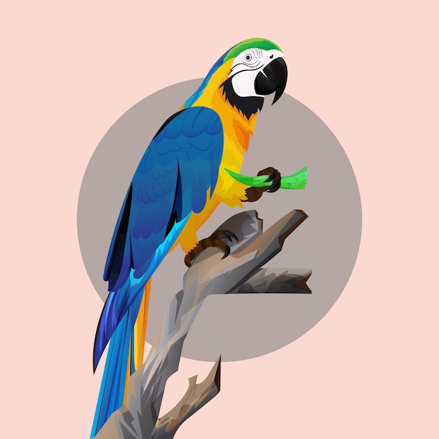 Vector hand drawn illustration species bird exotic color in the world