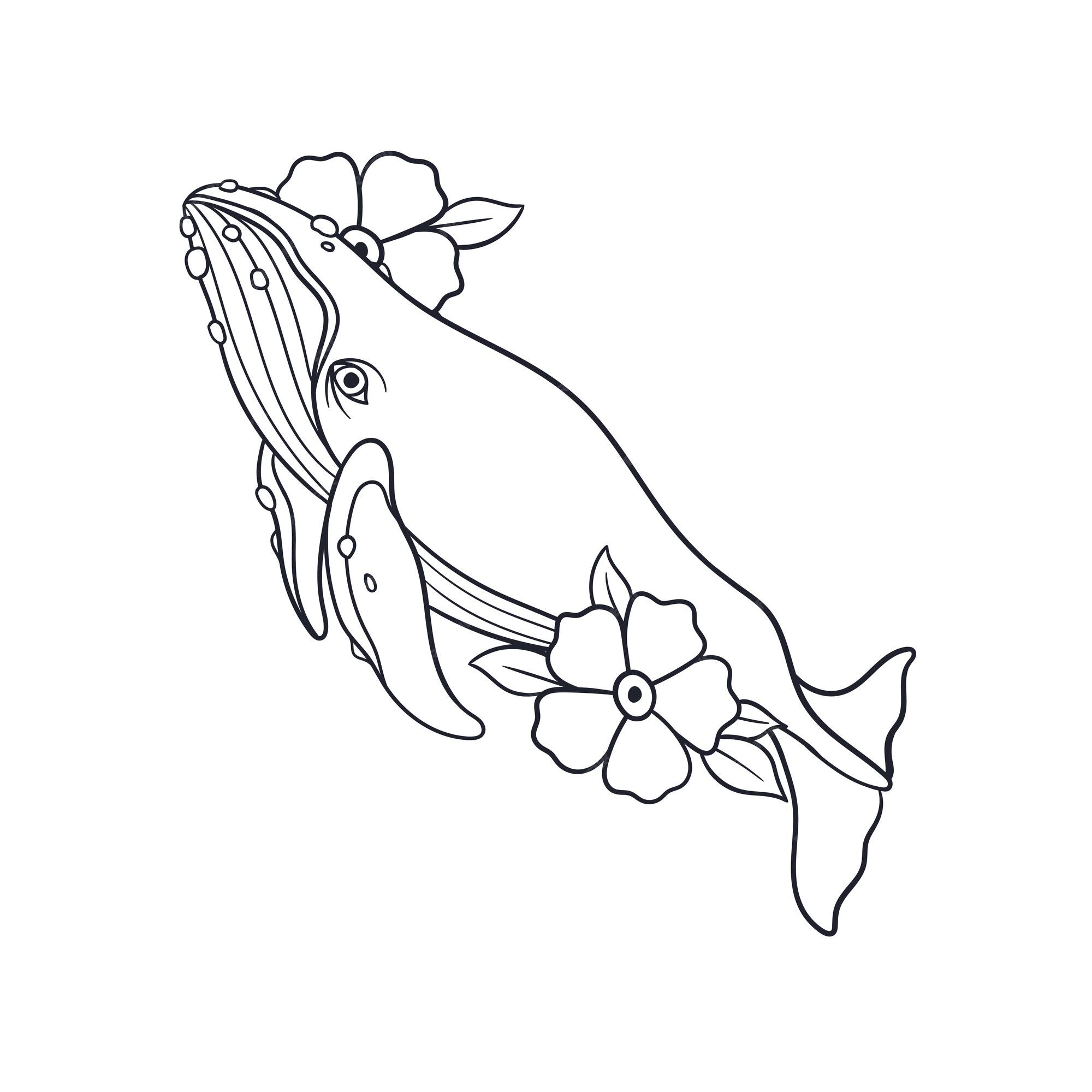 Whale Coloring page  Whale coloring pages, Whale tattoos, Whale drawing