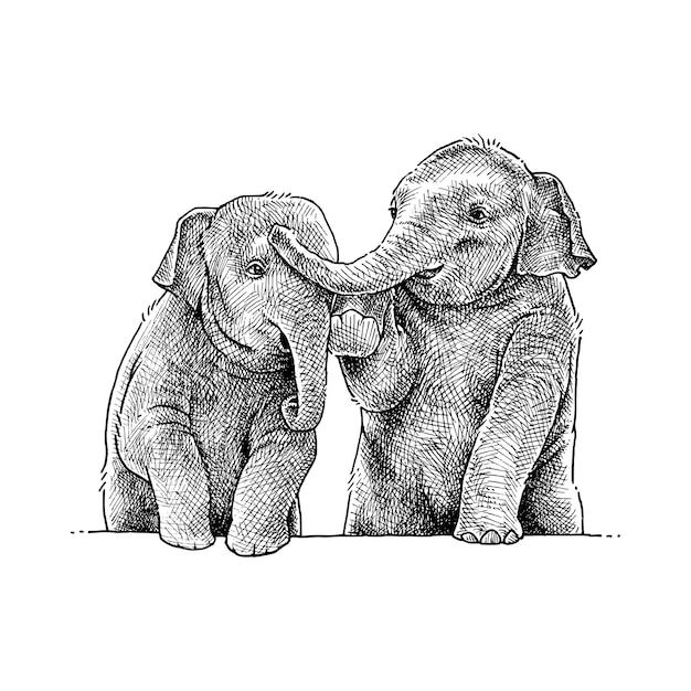 Vector hand drawn illustration of two cute baby elephant