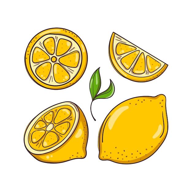 Illustrazione disegnata a mano con limoni e foglie.