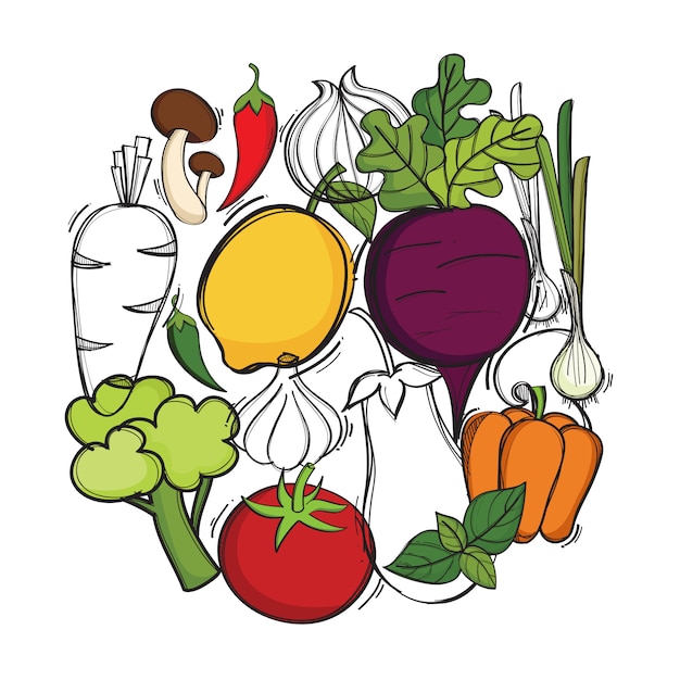 Vector hand drawn illustration with vector organic vegetables