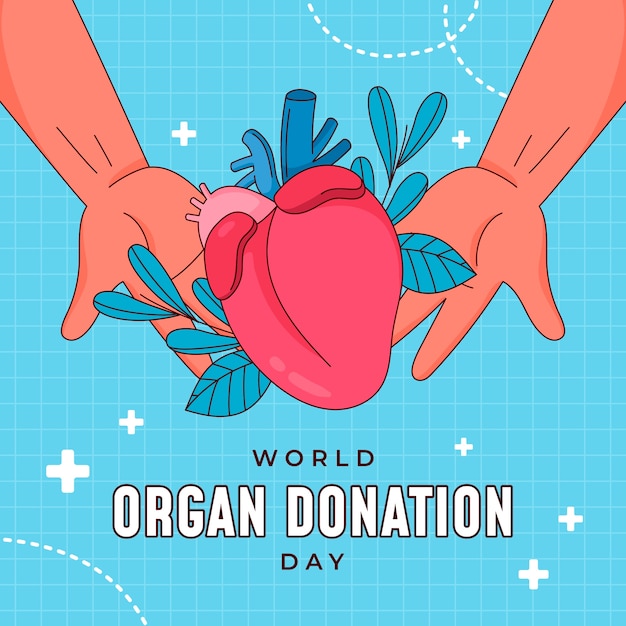 Illustrazione disegnata a mano per la giornata mondiale della donazione di organi