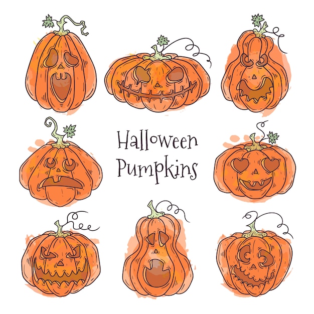 Hand drawn illustrations of realistic pumpkin for halloween