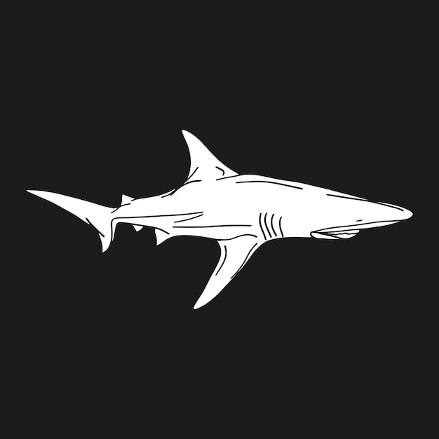 Вектор Ручной обращается иллюстративный векторный винтаж акулы