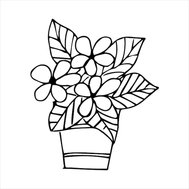 Hand drawn indoor plant in a pot doodle design home plants illustration