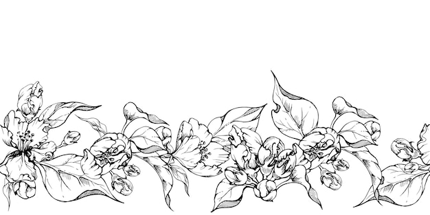 手描きのインクリンゴの花と葉モノクロ ベクトル詳細概要シームレスな水平バナー白い背景に分離されました。壁アート ウェディング プリント生地カバー カードのデザイン