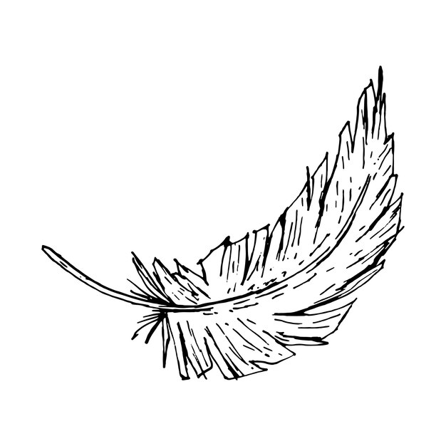 曲がった鳥の羽のモノクロムベクトル絵の手描きインクイラストレーション