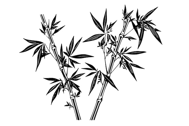 Hand drawn ink sketch of bamboo leaves and branches vector illustration