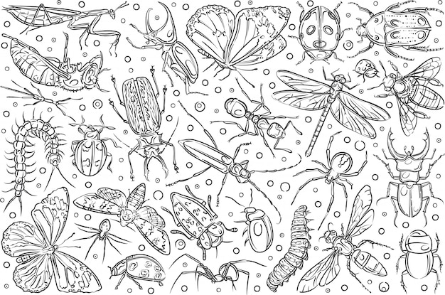 Formica e farfalla disegnate a mano degli insetti.