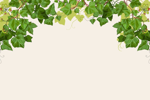 Vector hand drawn ivy background