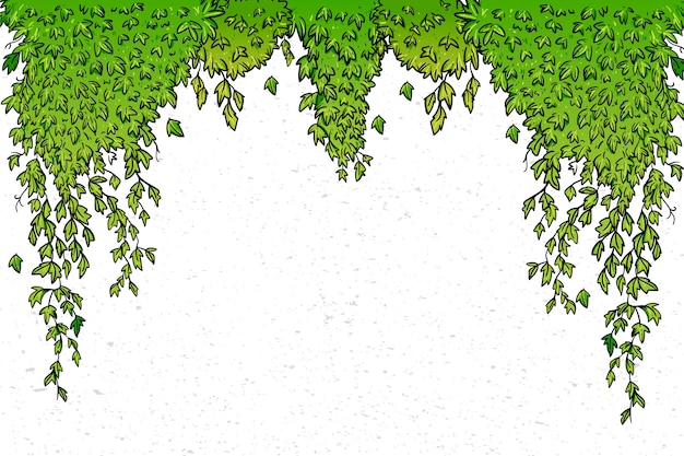 Vector hand drawn ivy background