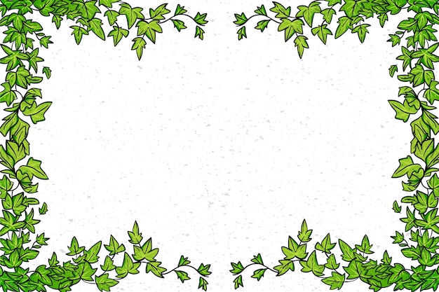 Vector hand drawn ivy background