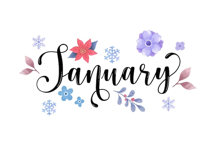 Vector hand drawn january month lettering typography for cover poster banner flyer social media templa