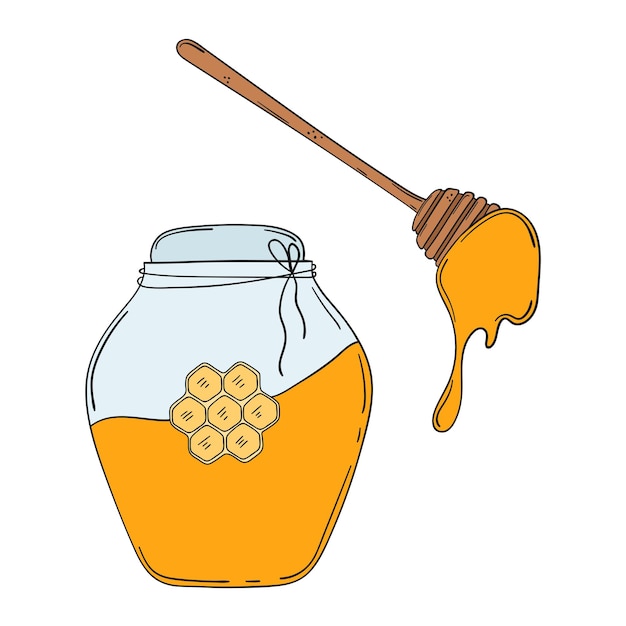 Vector hand drawn jar of honey and wooden honey dipper