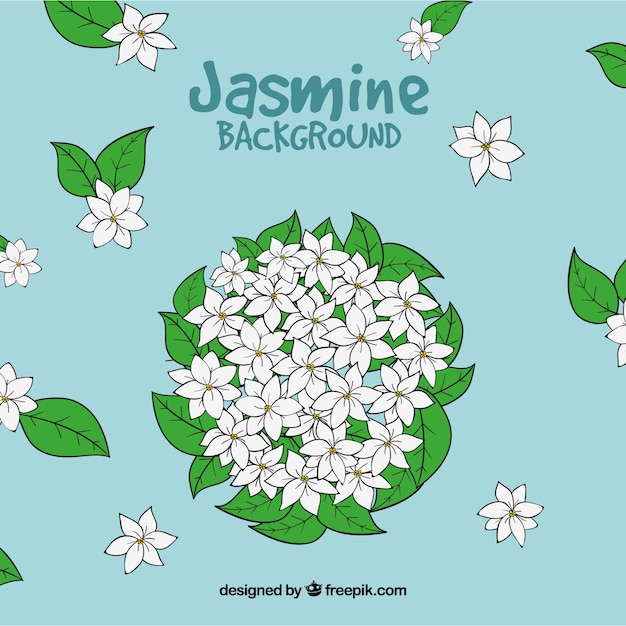 Hand drawn jasmine background