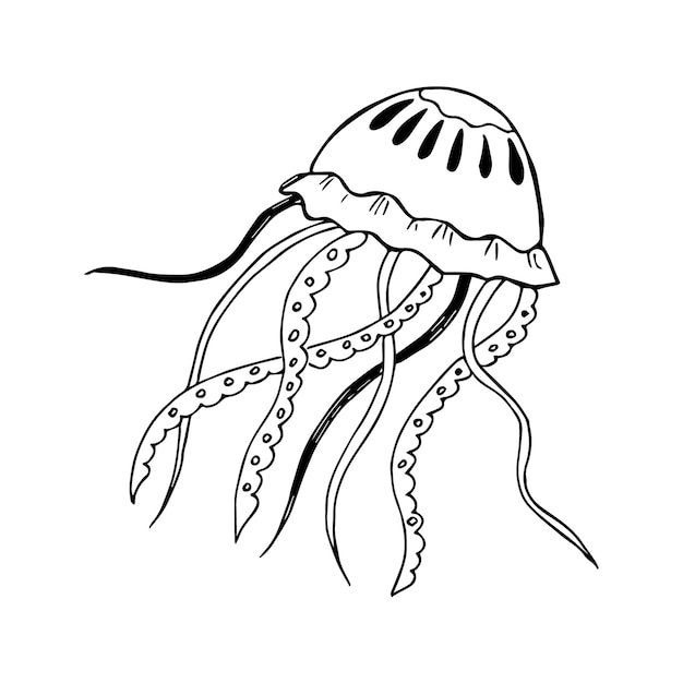 Медуза, нарисованная вручную в стиле каракулей или эскиза, один элемент в черно-белом цвете