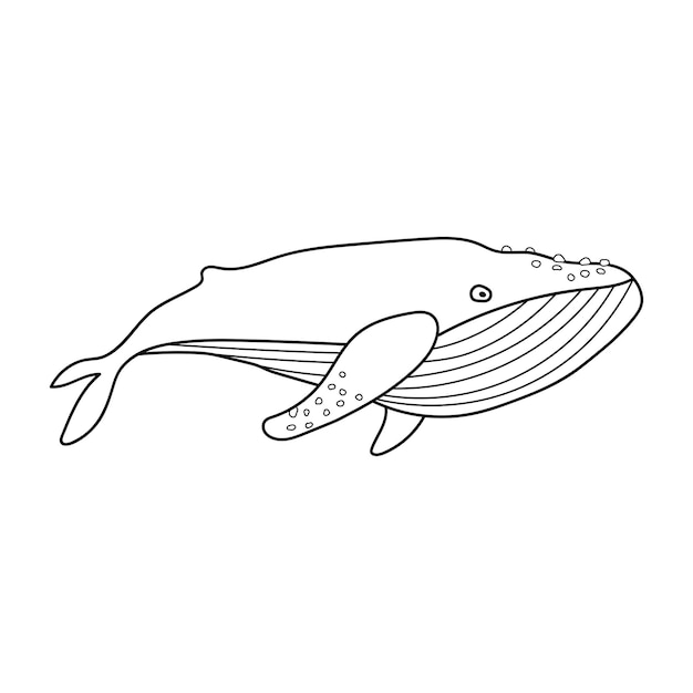 Hand drawn Kids drawing Cartoon cute blue whale Vector Illustration Isolated on White Background