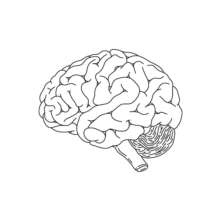 Vector hand drawn kids drawing vector illustration human brain flat cartoon isolated