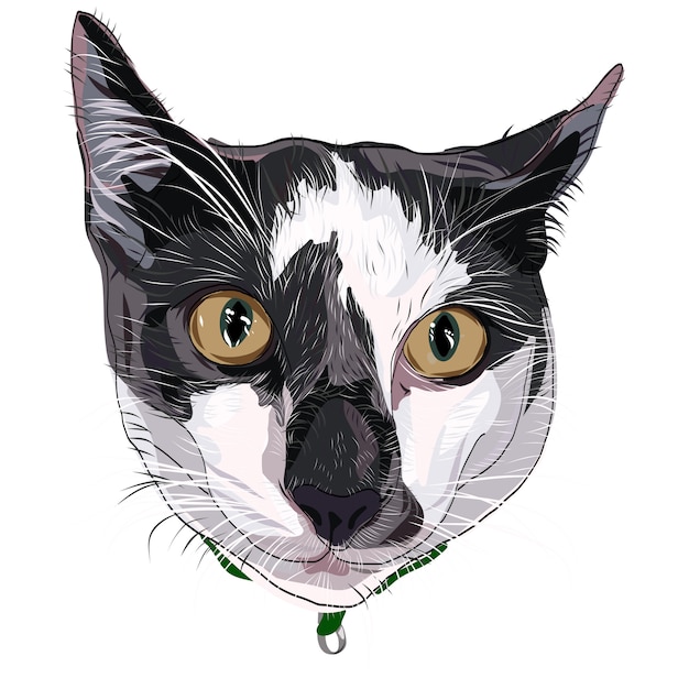 Vettore faccia da gattino disegnata a mano