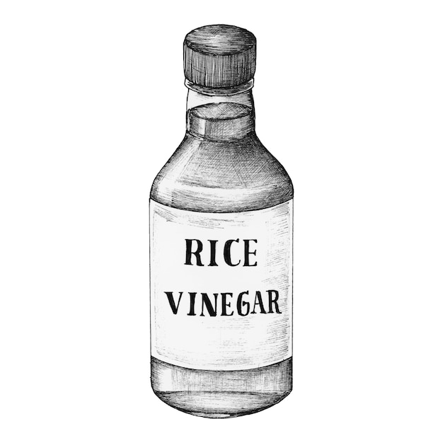 Hand drawn komezu rice vinegar