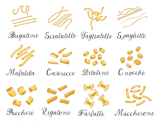 Grande set disegnato a mano di diversi tipi di pasta italiana. illustrazione vettoriale, colorata.