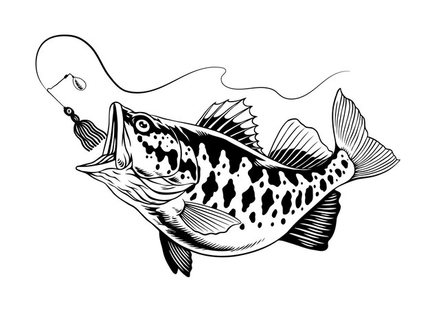 Vector hand drawn of largemouth bass fish catching the fishing lure