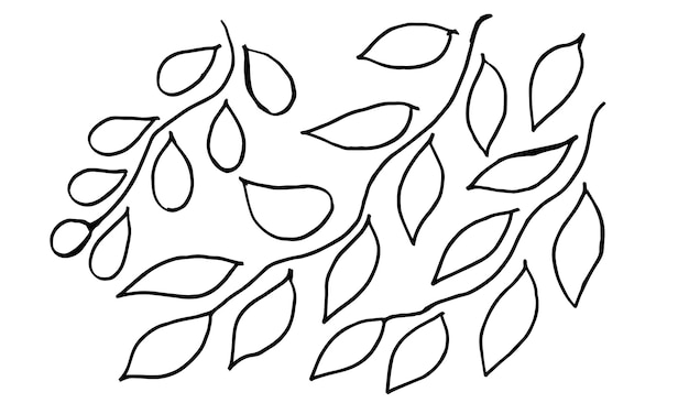 Hand drawn leaf in doodle