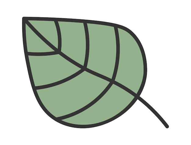 Hand drawn leaf icon Vector illustration