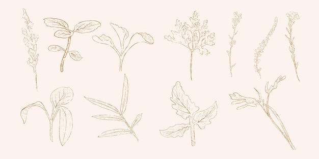 손으로 그린 잎 라인 아트 손으로 그린 자연 그림 무료 손 스케치 그림