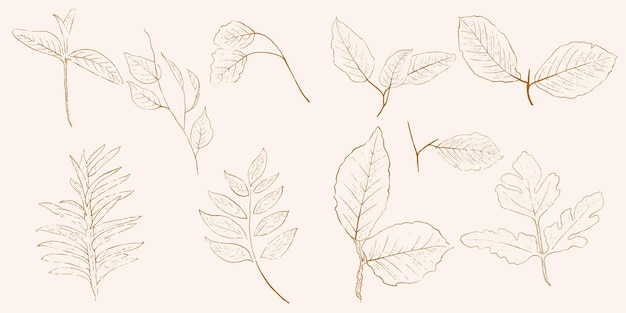 Hand drawn leaf line art hand drawn nature painting Free hand sketch illustration