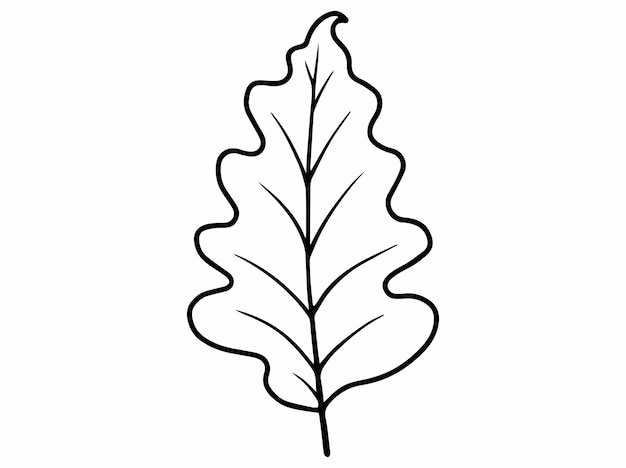 Hand Drawn Leaf Line Art Illustration