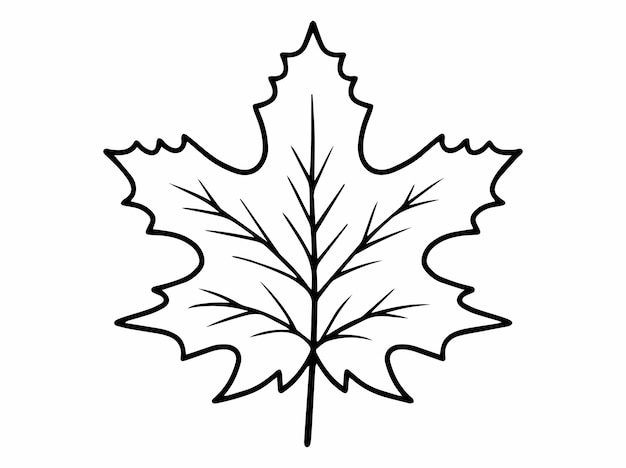 Hand Drawn Leaf Line Art Illustration