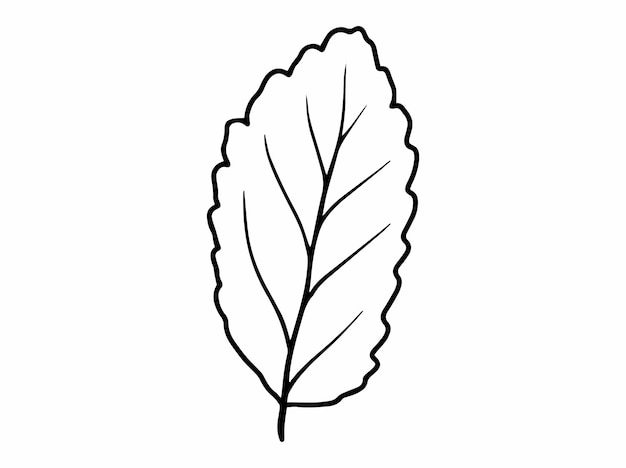 Hand Drawn Leaf Sketch Line Art Illustration