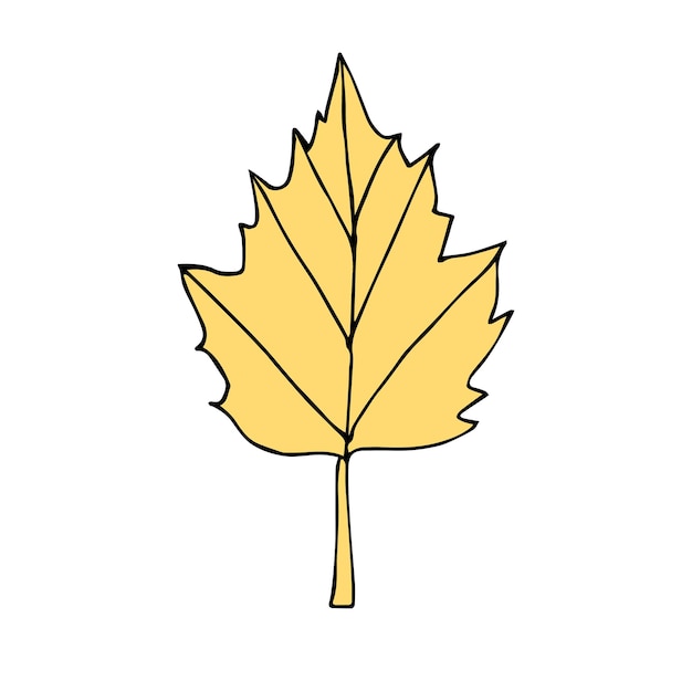 Hand drawn leaf