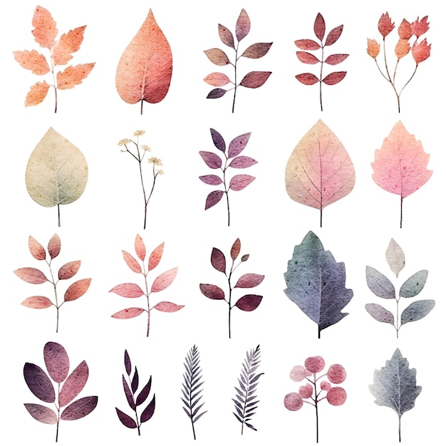 Vector hand drawn leaves art and botanical illustrations set