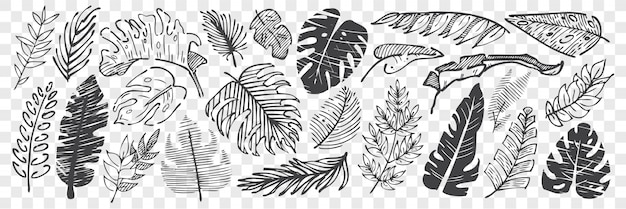 Hand drawn leaves doodle set