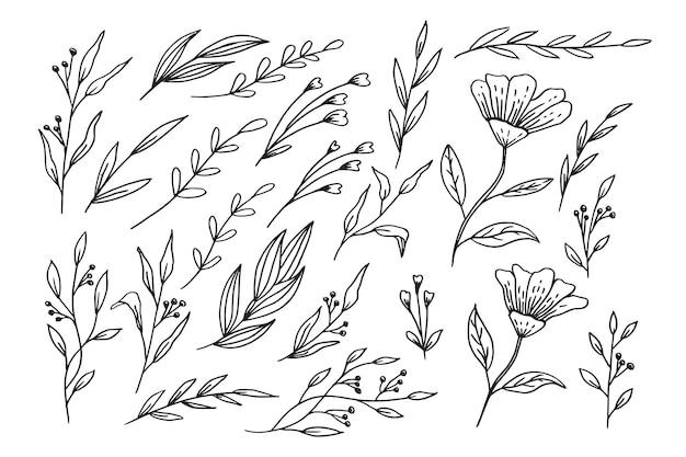 Hand drawn leaves and flowers collection organic floral decorative