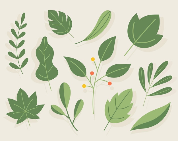 Vector hand drawn leaves illustration collection